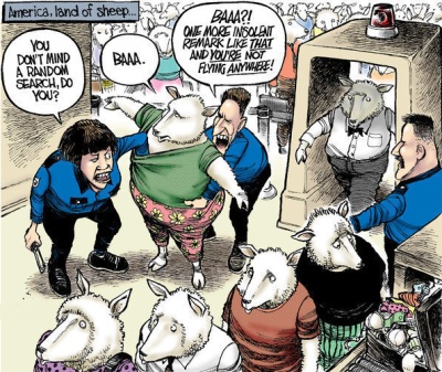Homeland Security TSA agents search sheep at airport - Friendlier skies: The bad old days of air travel may be over - You don't mind a random search, do you? Baaa. Baaa?! One more insolent remark like that and you're not flying anywhere