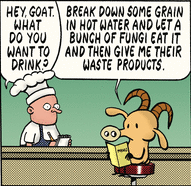 beer - it's fungus waste???